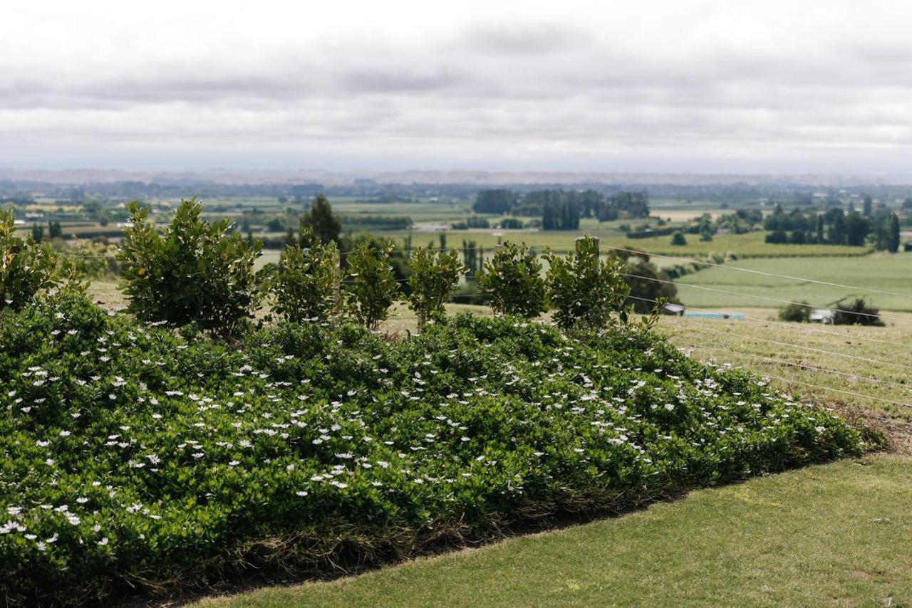 Birds Eye View Lejlighed Havelock North Eksteriør billede